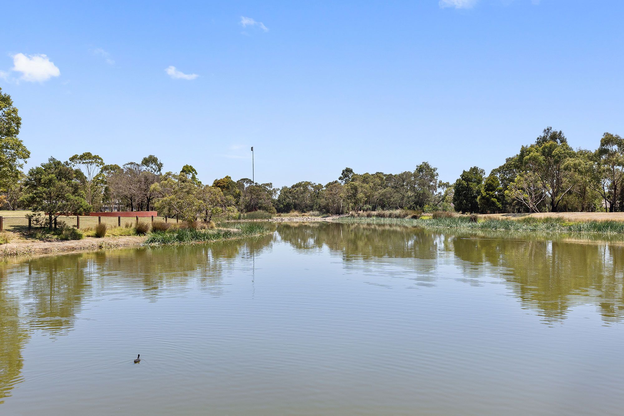 Clyde   Casey Fields Lake LR No Logo