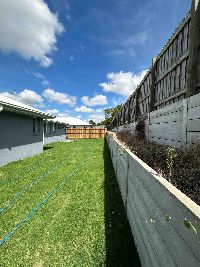Backyard 2