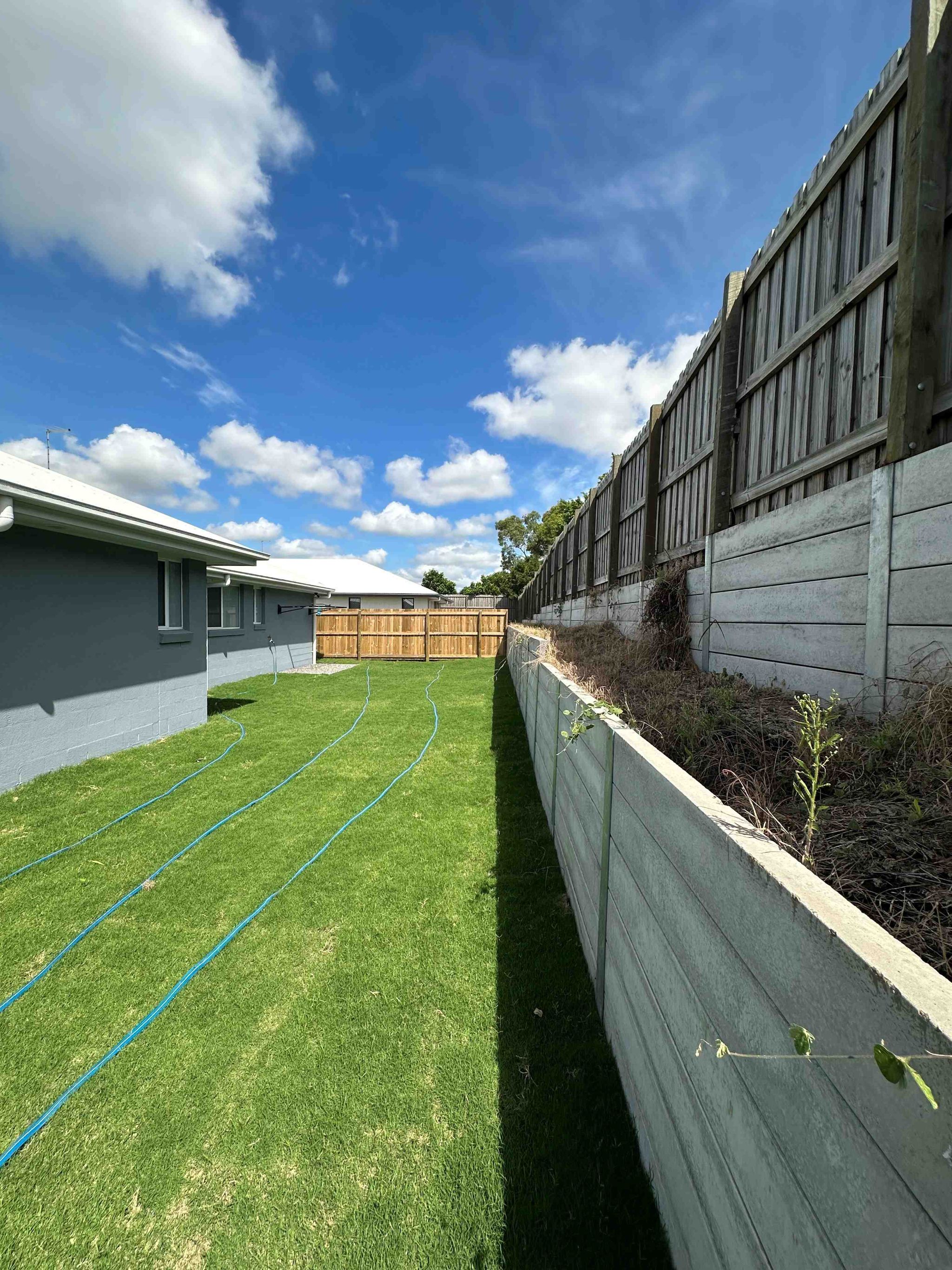 Backyard 2