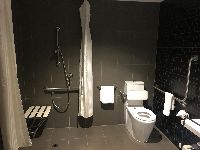 One Bedroom Apt Accessible   Shower and Toilet