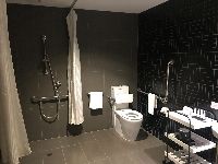 Two Bedroom Apt Accessible   Shower and Toilet