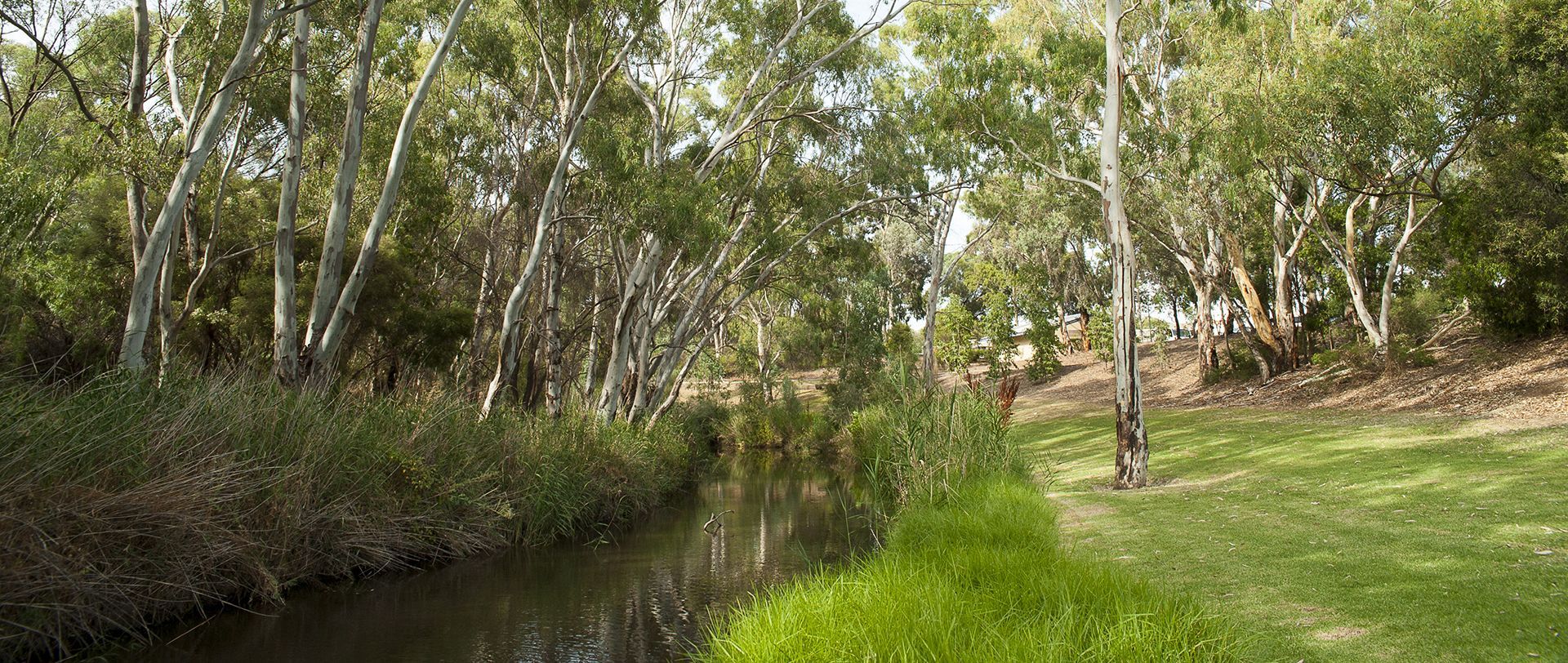River Torrens Linear Park