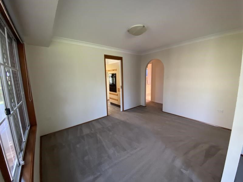 16487822 3_1_230528_012838-w800-h600