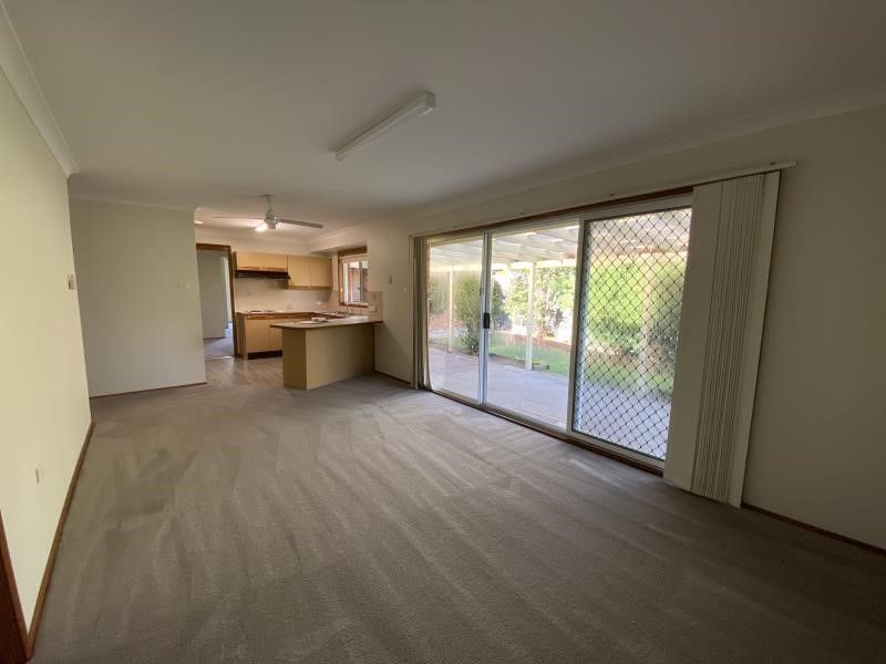 16487822 5_1_230528_012838-w800-h600