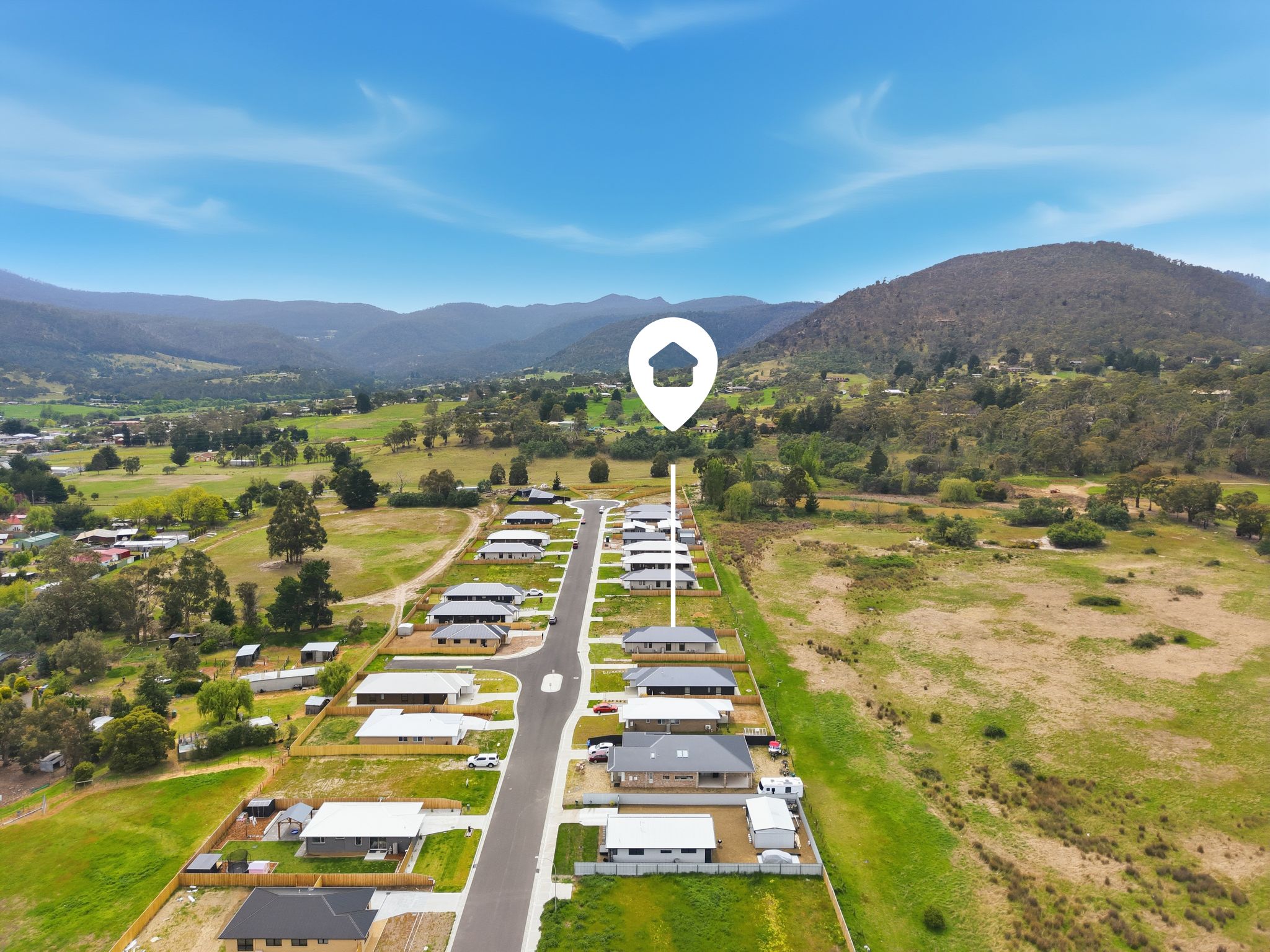 NC 24BluetongueDr_04-Pin