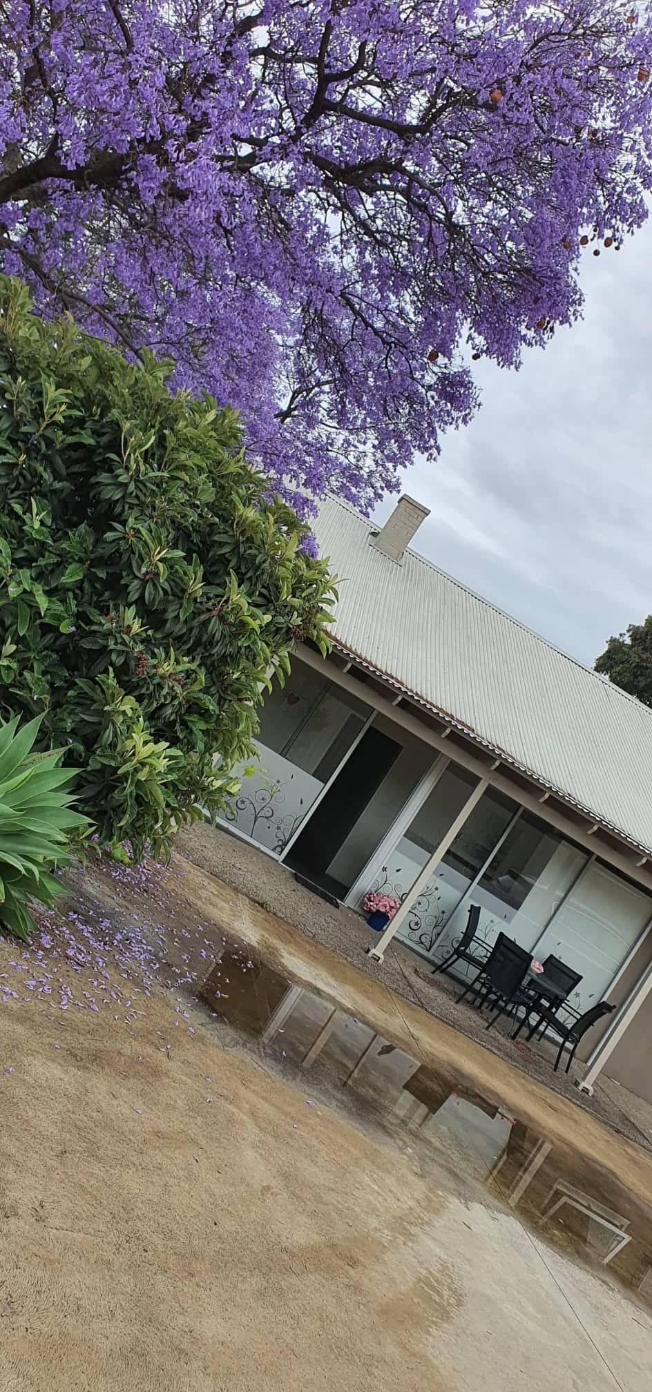 Rear of house