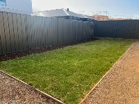 IMG 20250619-WA0015