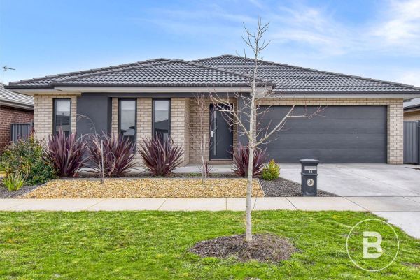 2017933256 1_1_220713_074317-w1798-h1200