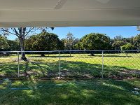 Thomas Birkdale backyard