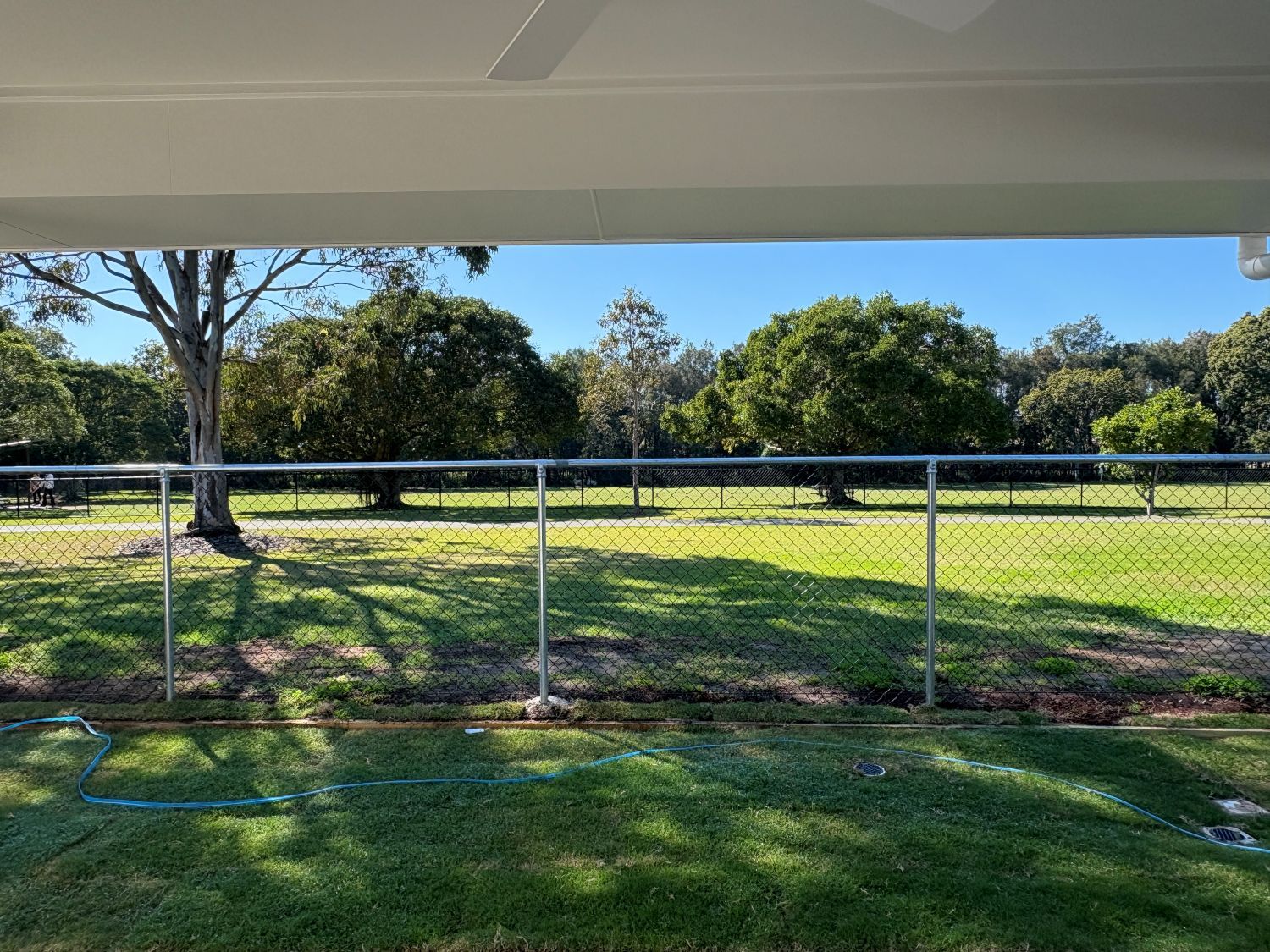 Thomas Birkdale backyard