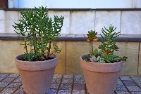 Dominic House 2023 k