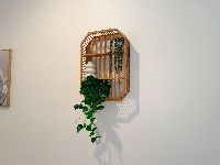 IMG 0113