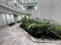 IMG 3767
