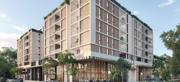 Go Nest---Feature-Image-2022-1