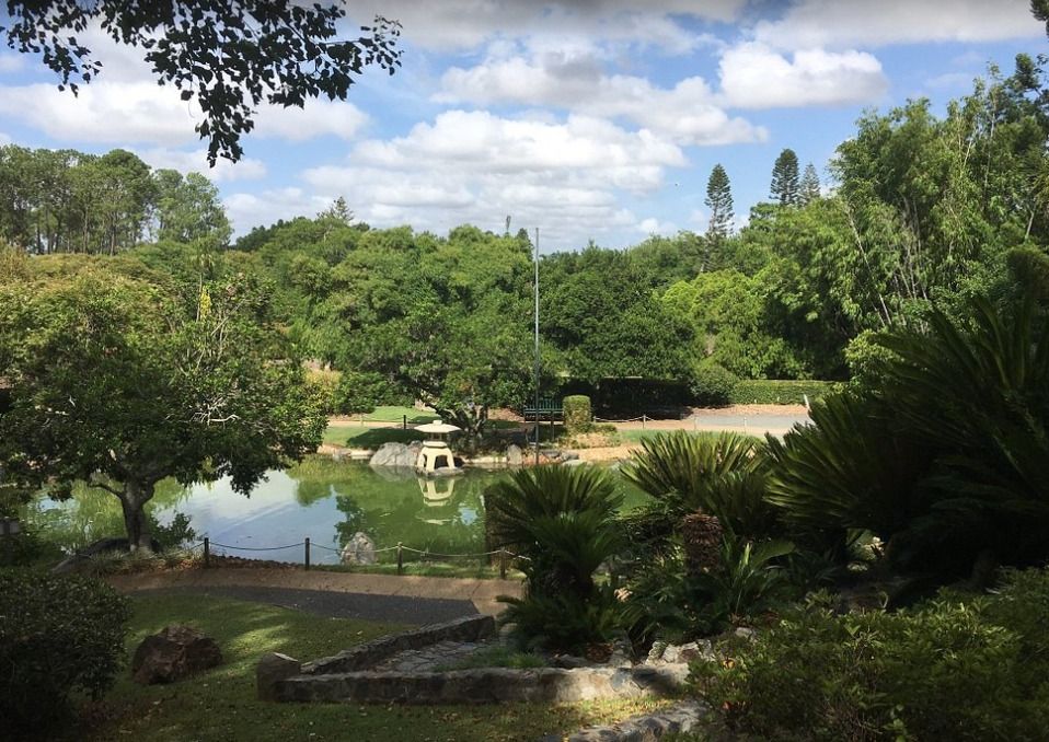 Elkhorn 5 converted-from-png