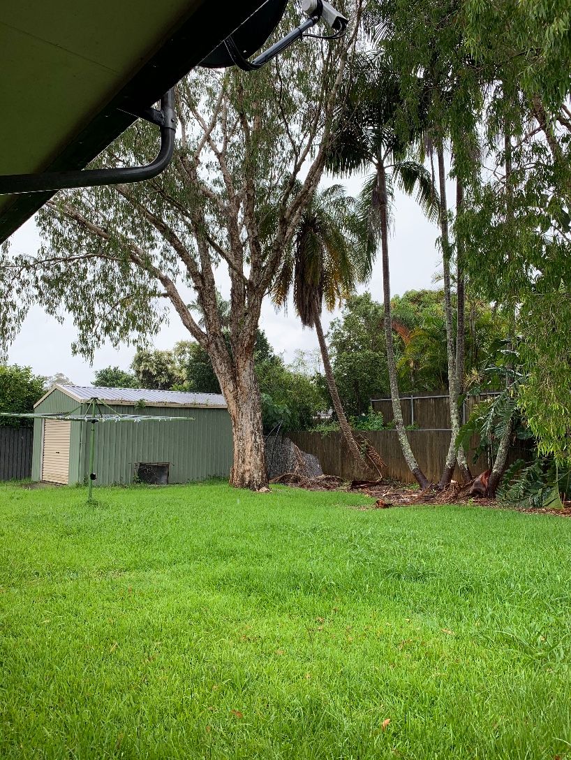 A3155199 8CB4-4862-8B8A-0D7B293B33C2