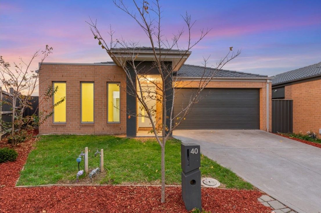 Stringy leaf front on