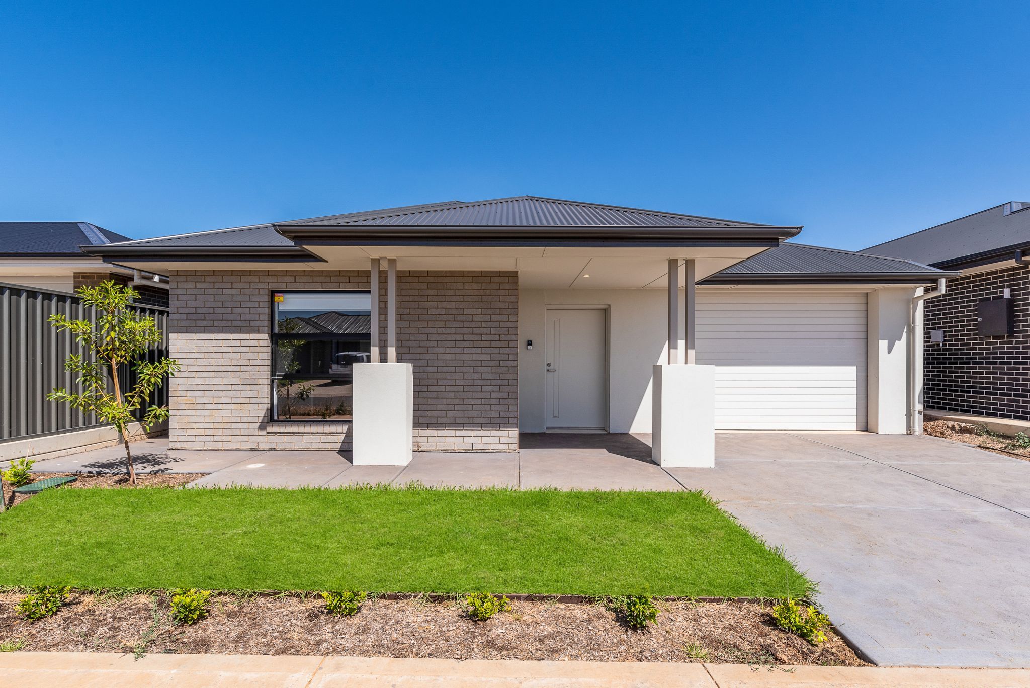 Cognata03