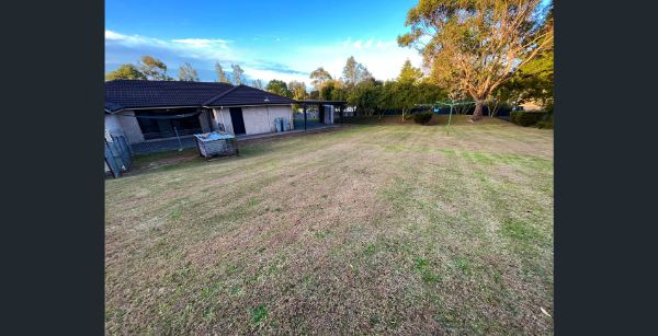Backyard