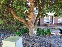 Outside of house