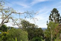 19   Bertha St 64a - View