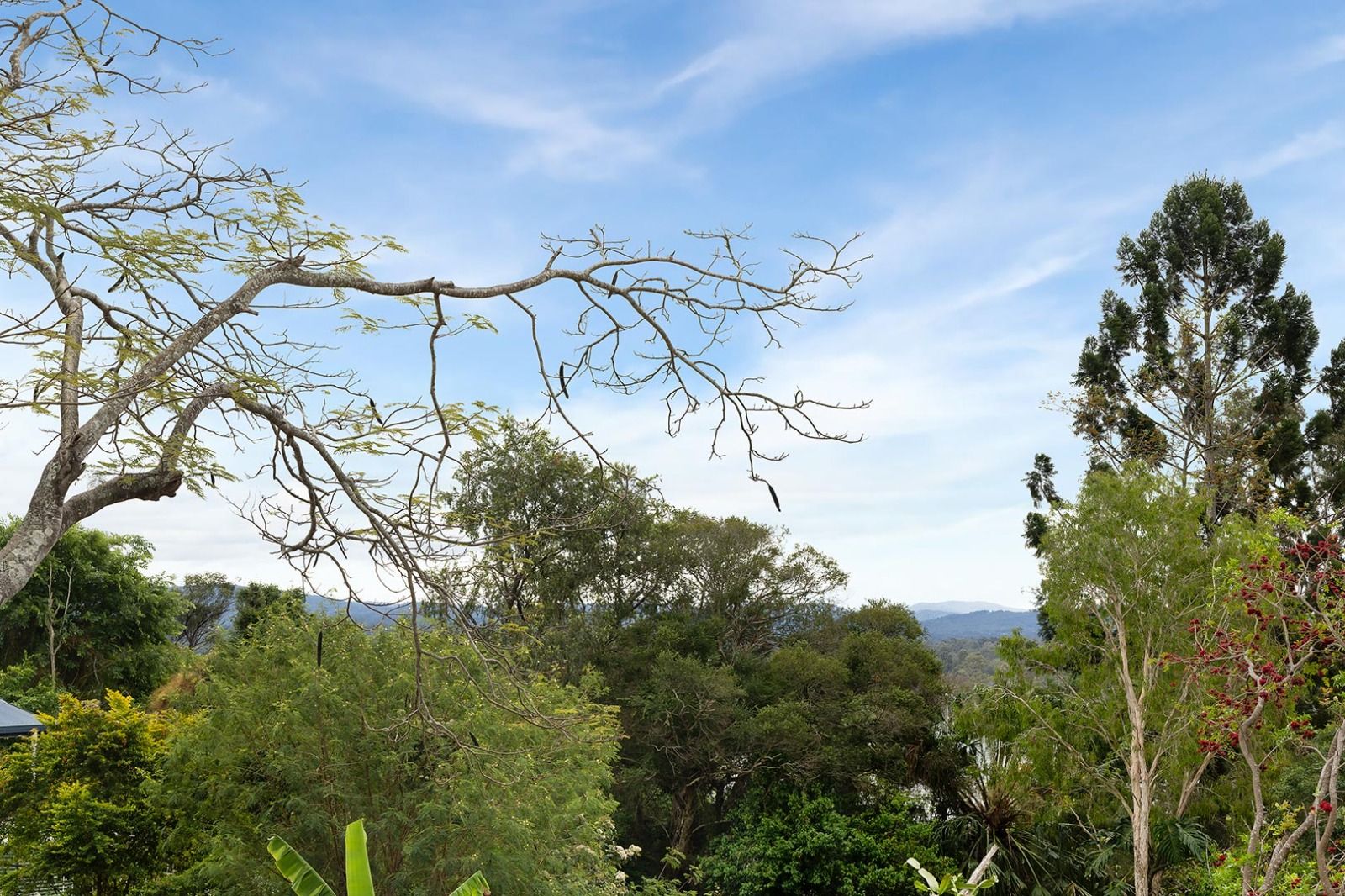 19   Bertha St 64a - View