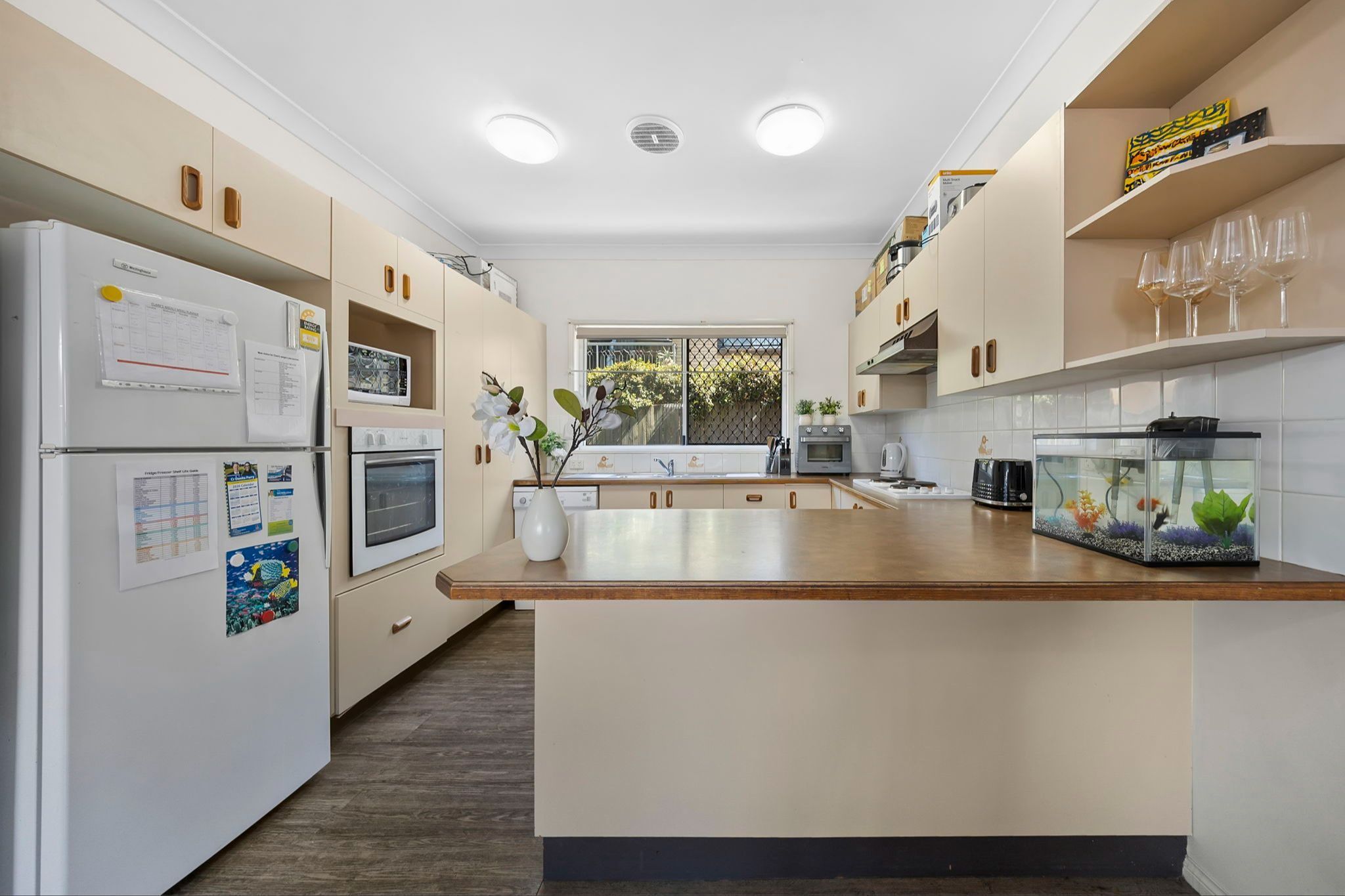 Wooloowin kitchen