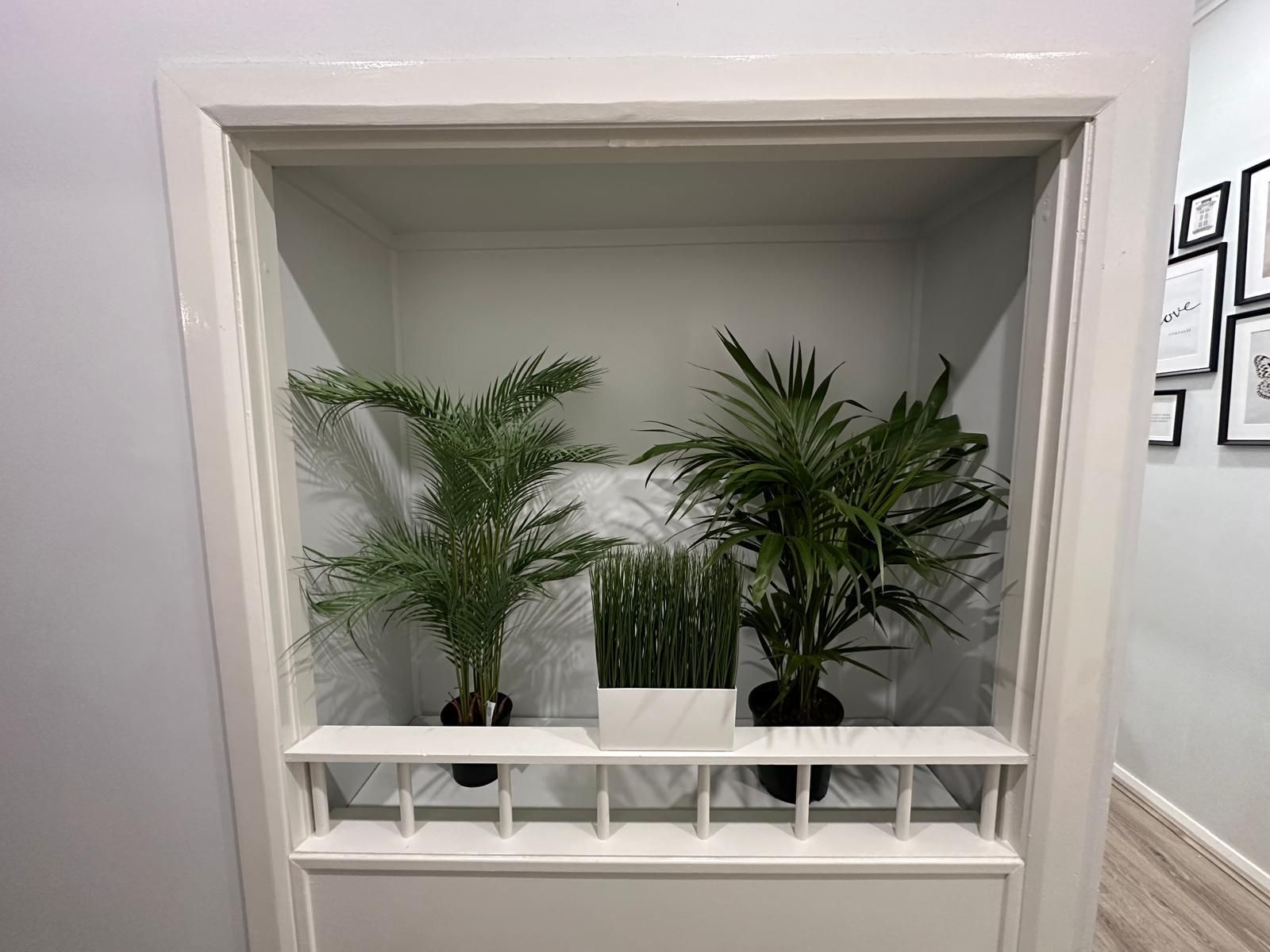 WhatsApp Image 2024 11-02 at 18.05.33_1b19a088