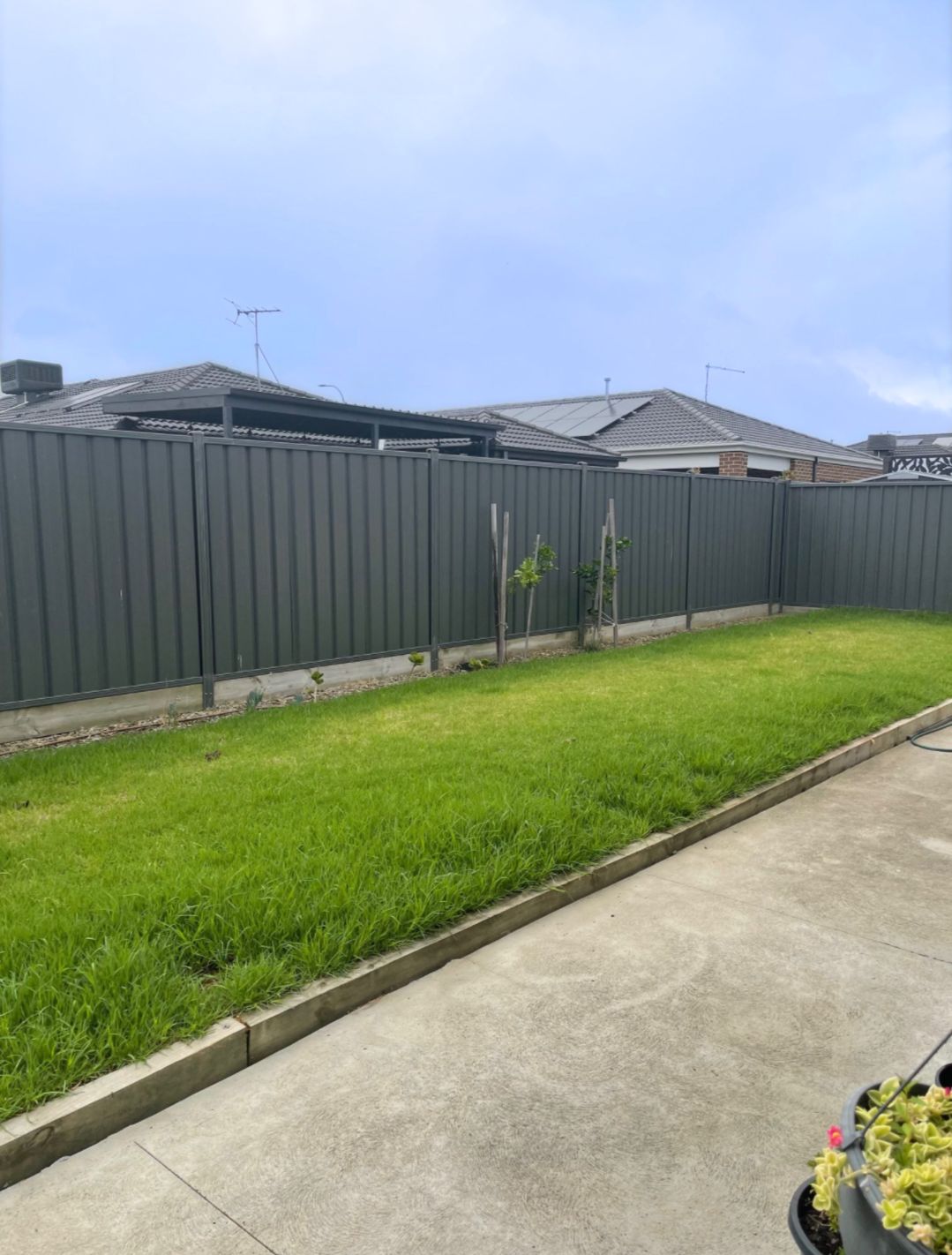 d95e8453 172c-4f68-b6a7-3674f9ee99a7