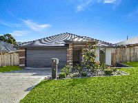 Adobe Express   file