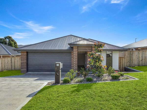 Adobe Express   file