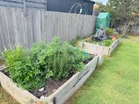 herb garden