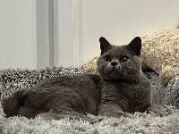 1F897542 3C4E-4CEB-8C70-08CABFCEAE0F