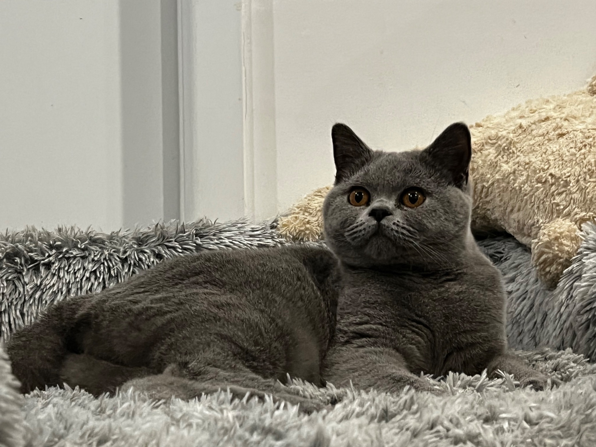 1F897542 3C4E-4CEB-8C70-08CABFCEAE0F