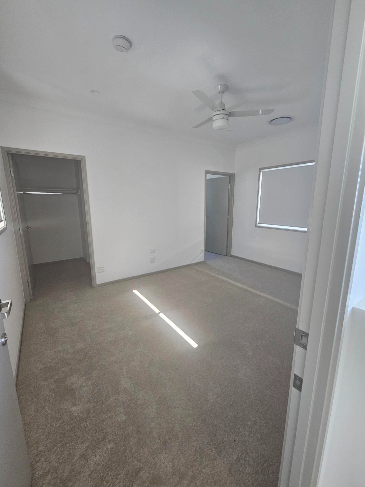 n8new7cczxrrkqrxjtyf