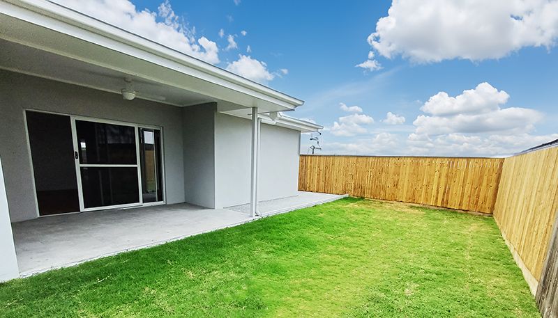 Back yard