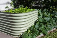 SIL022 LR_Maitland_garden bed 1