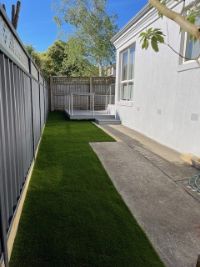 Backyard 2