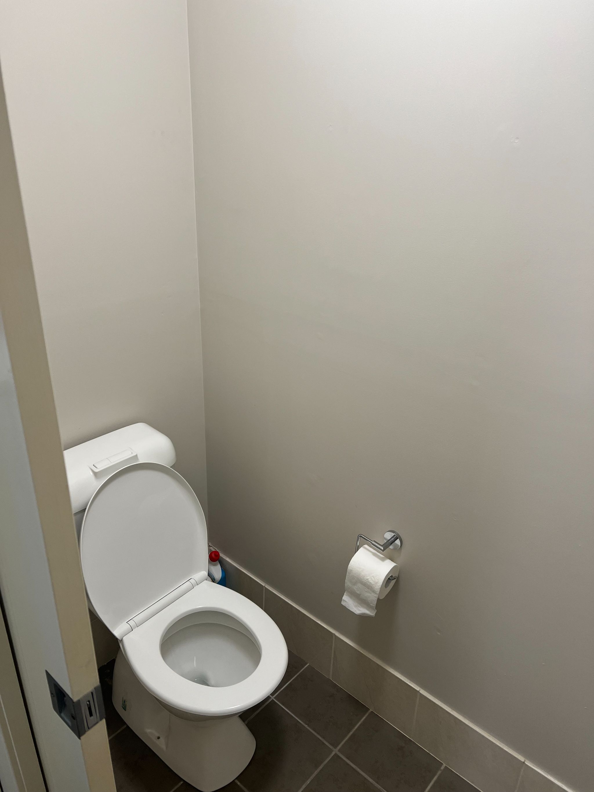 IMG 4555