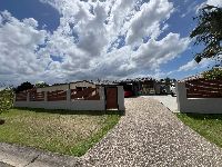 IMG 2636