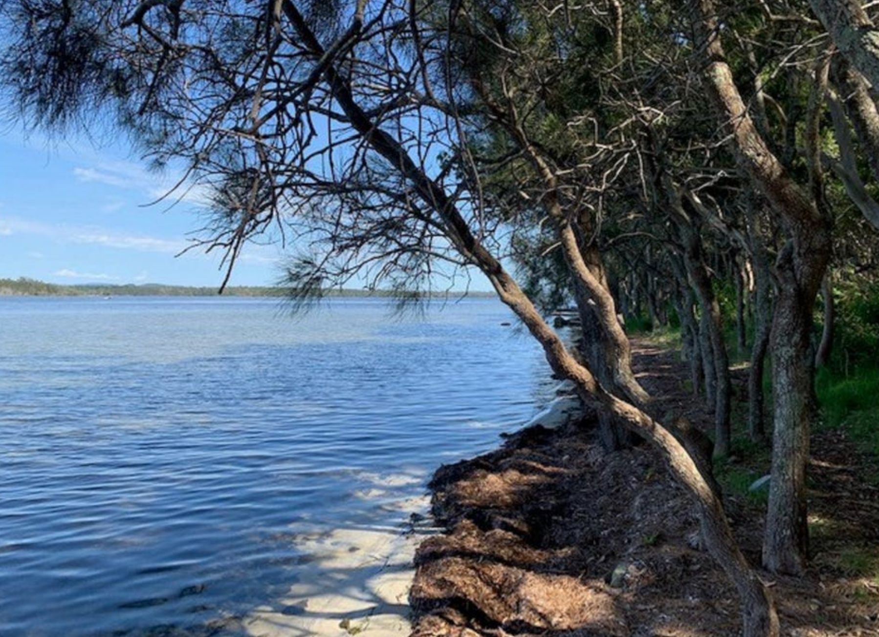 Green Point Location Shot