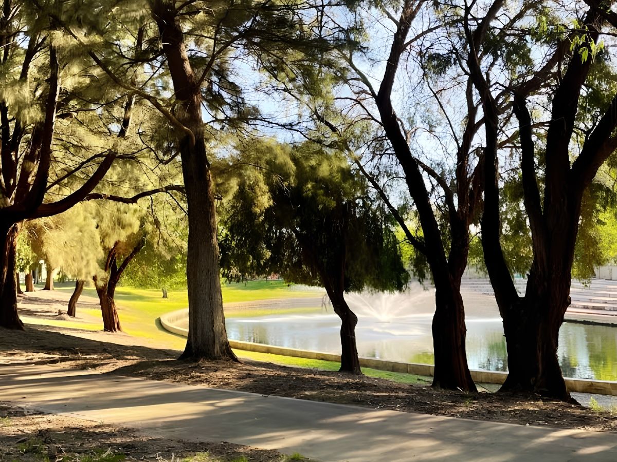Ridgewood Park