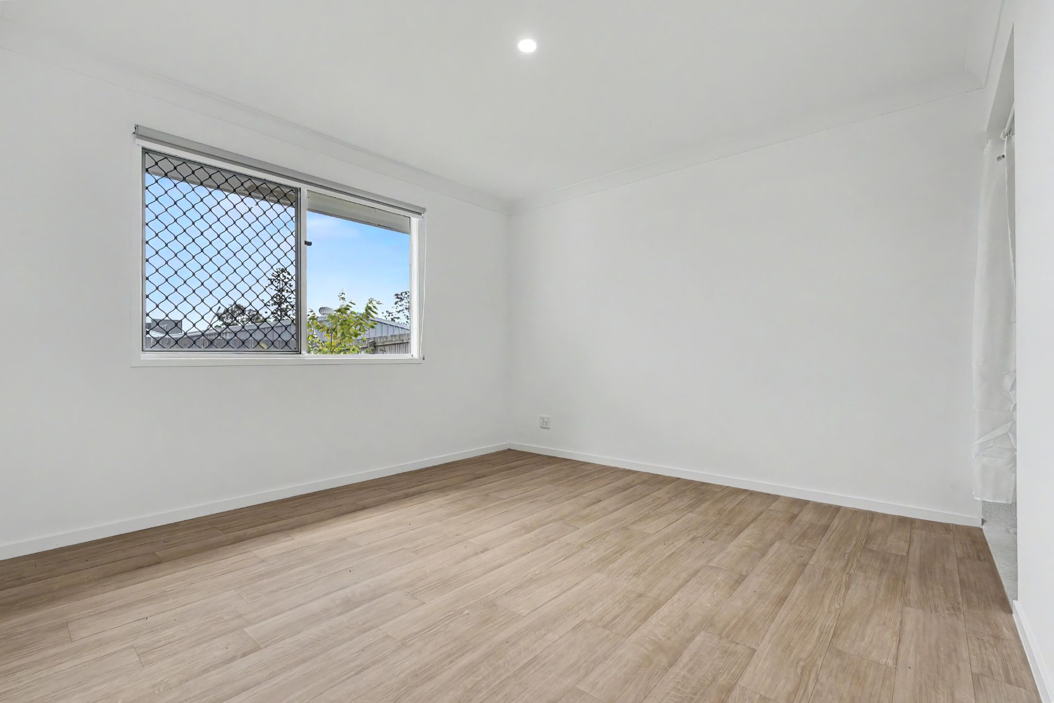 online image-compressor_005_Open2view_ID1033706-10_Thornbill_Close