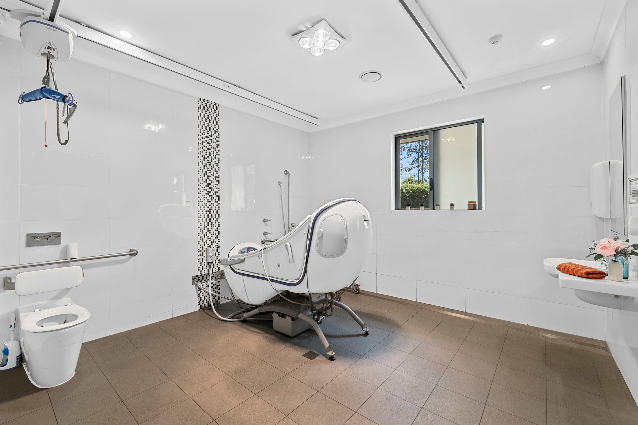 6 web-or-mls-3-english-ivy-pl