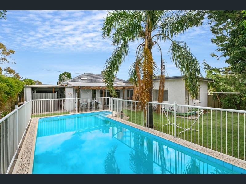 30 Mattner Avenue Glenelg    pool
