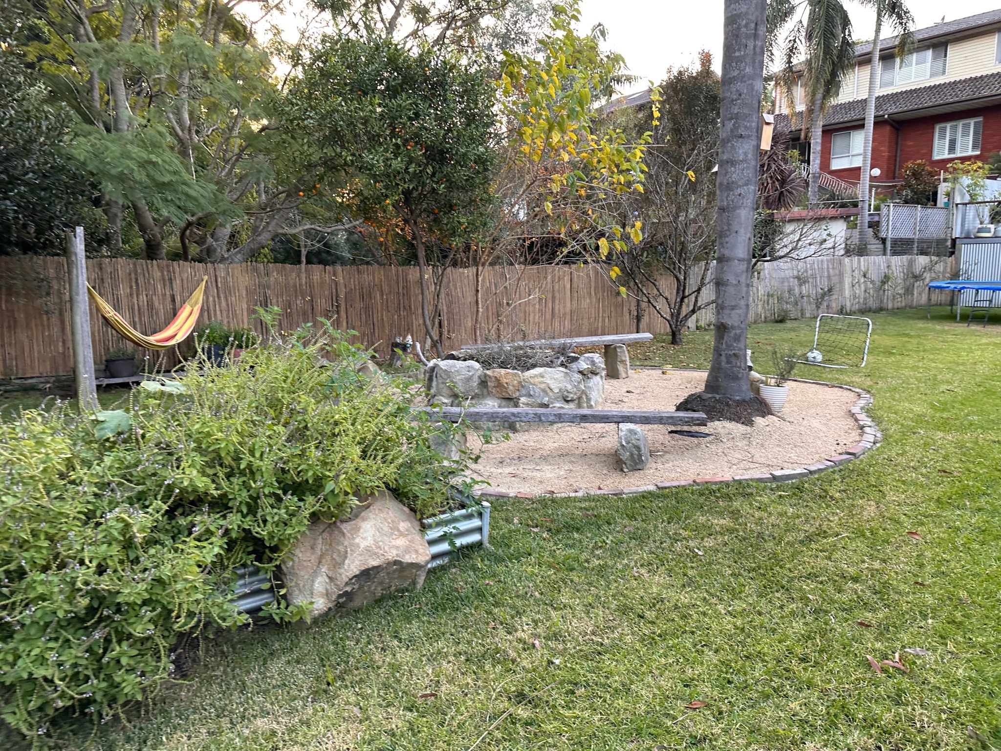 Firepit and Hammocks