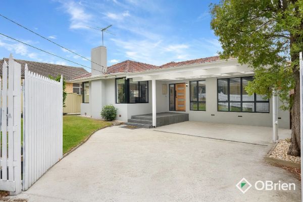 WhatsApp Image 2026 01-11 at 8.20.23 PM