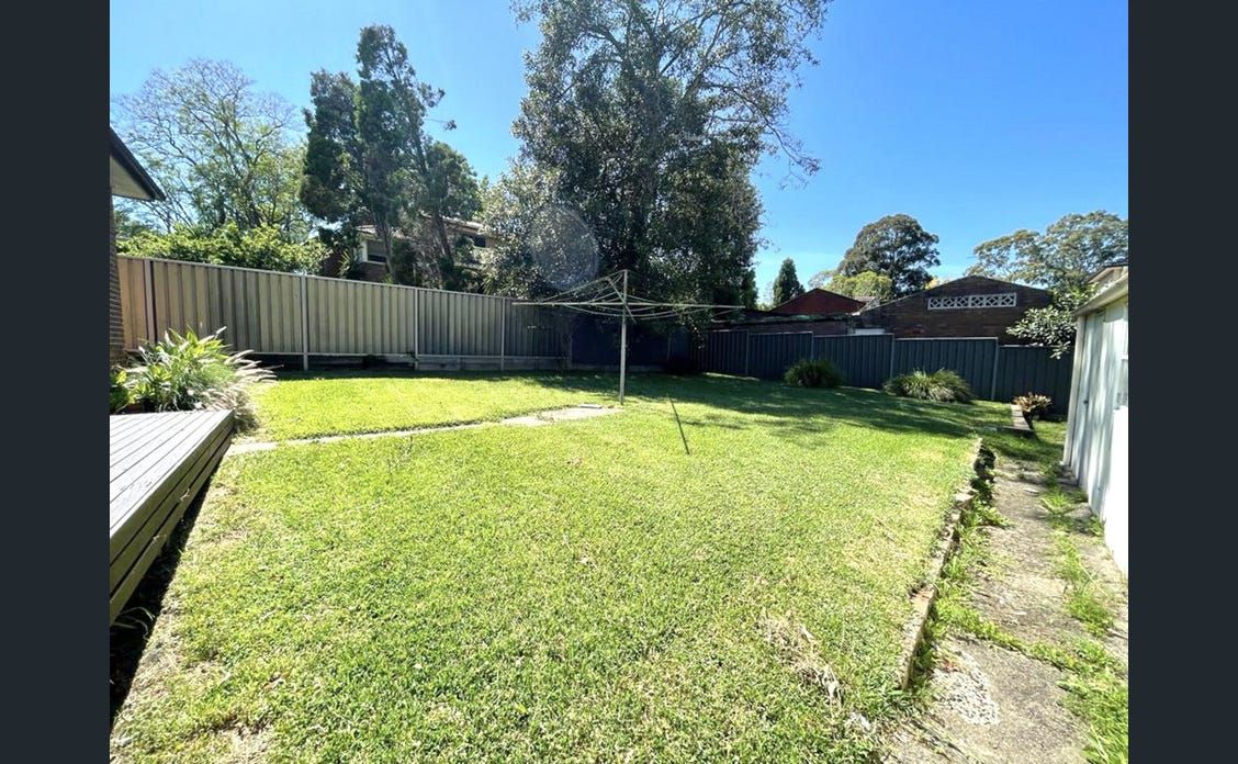 back garden