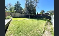 back garden
