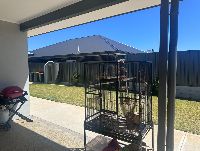 Grazier Backyard 4  1)